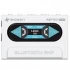 FiiO Retro Nano Bluetooth DAC and Headphone Amplifier WHITE