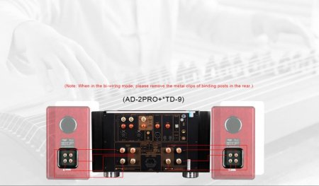 Description image for Tonewinner AD-2 PRO+ Hi-Fi Class A Integrated Amplifier
