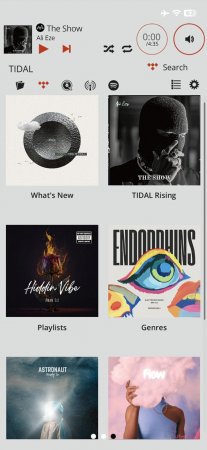 Description image for Audiolab 9000N Wireless Streaming Audio Player and USB DAC BLACK