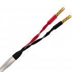 Wireworld SOS10 Solstice 10 Speaker Cable 8ft (2.5M)