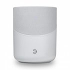 Bluesound P230WHTUNV Pulse M Omni-Hybrid Wireless Music Streaming Speaker WHITE