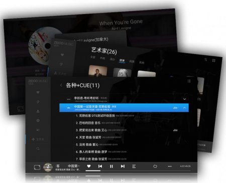 Description image for Zidoo Z1000PRO 4K Media Player