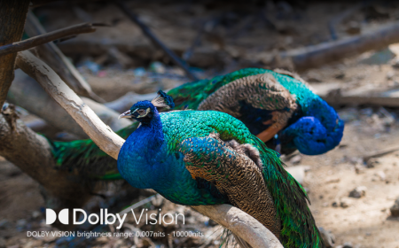 Description image for Zidoo Z20 PRO High-Performance Android 4K HDR Media Player BLACK