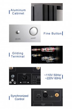 Description image for Tonewinner AD-1 PA 2 Channels High Power Pure Amplifier