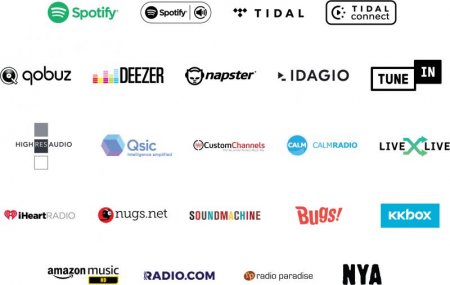 Description image for Bluesound P230BLKUNV Pulse M Omni-Hybrid Wireless Music Streaming Speaker BLACK - Open Box