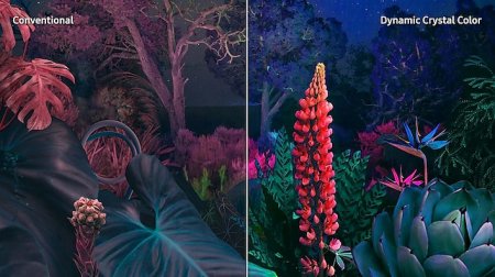 Description image for Samsung UN50CU8000FXZC 50-Inch CU8000 Crystal UHD 4K Smart TV [2023 Model]