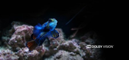 Description image for Zidoo Z1000PRO 4K Media Player