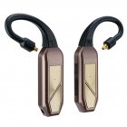 iFi GO Pod Max Lossless Bluetooth IEM Adapter & DAC/AMP BLACK